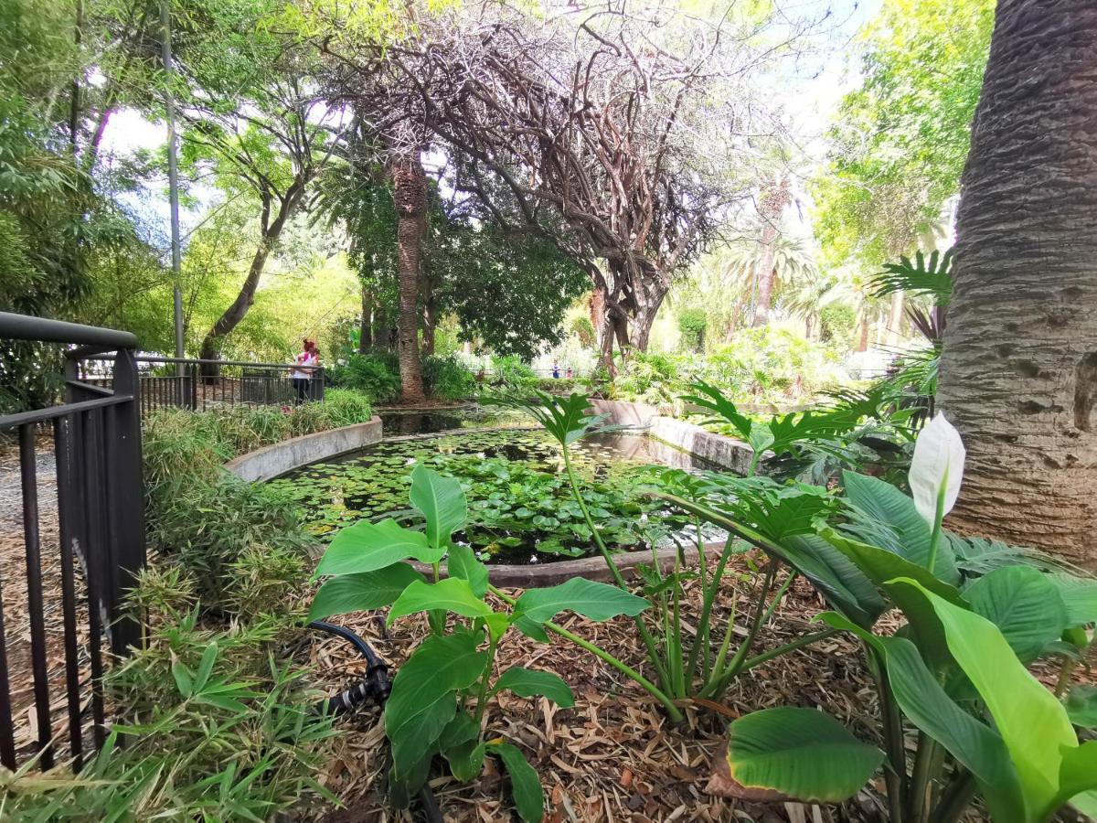 Home2Book Charming Apartment Santa Cruz, Wifi Екстер'єр фото